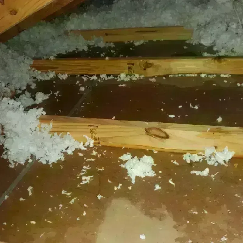 Attic Water Damage in Gridley, CA