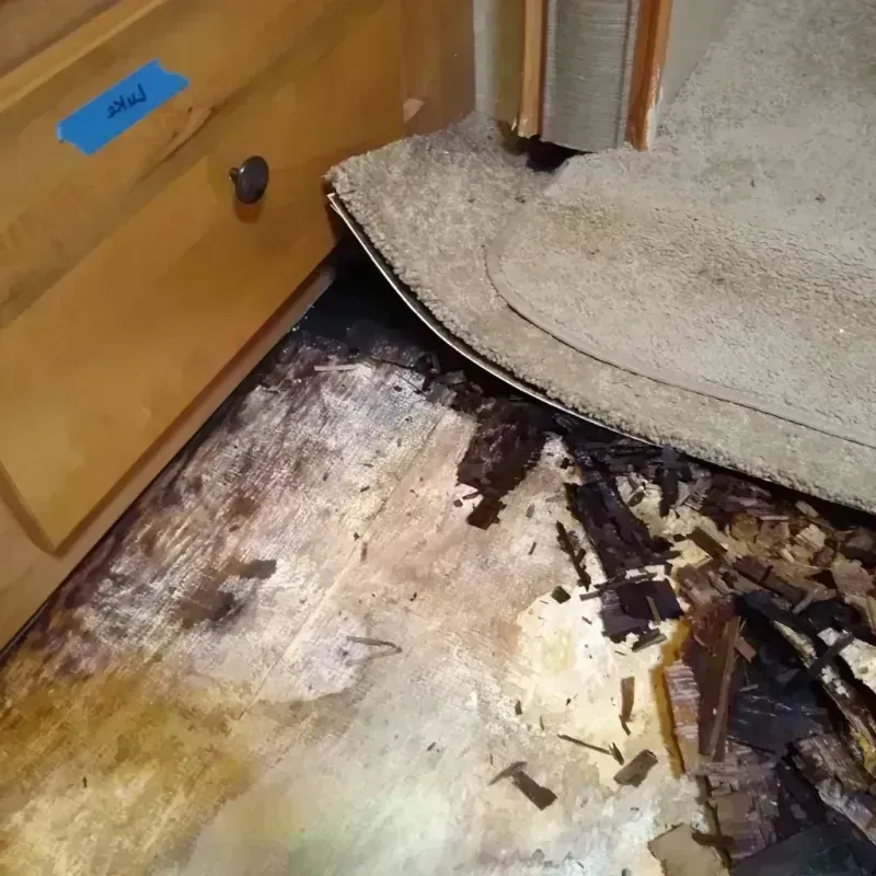 Wood Floor Water Damage in Gridley, CA